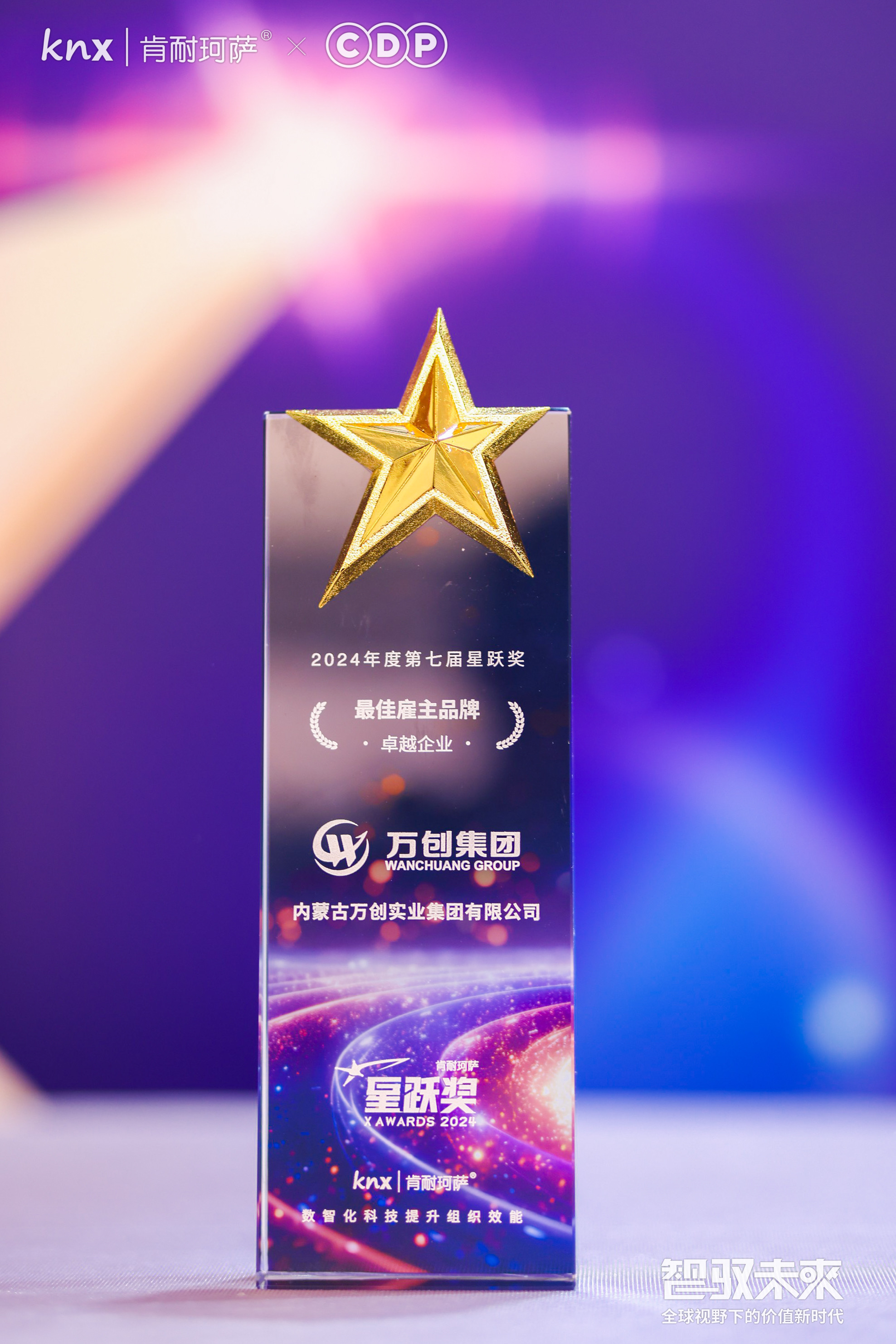 肯耐珂薩星躍獎(jiǎng)_最佳雇主品牌卓越企業(yè)獎(jiǎng)