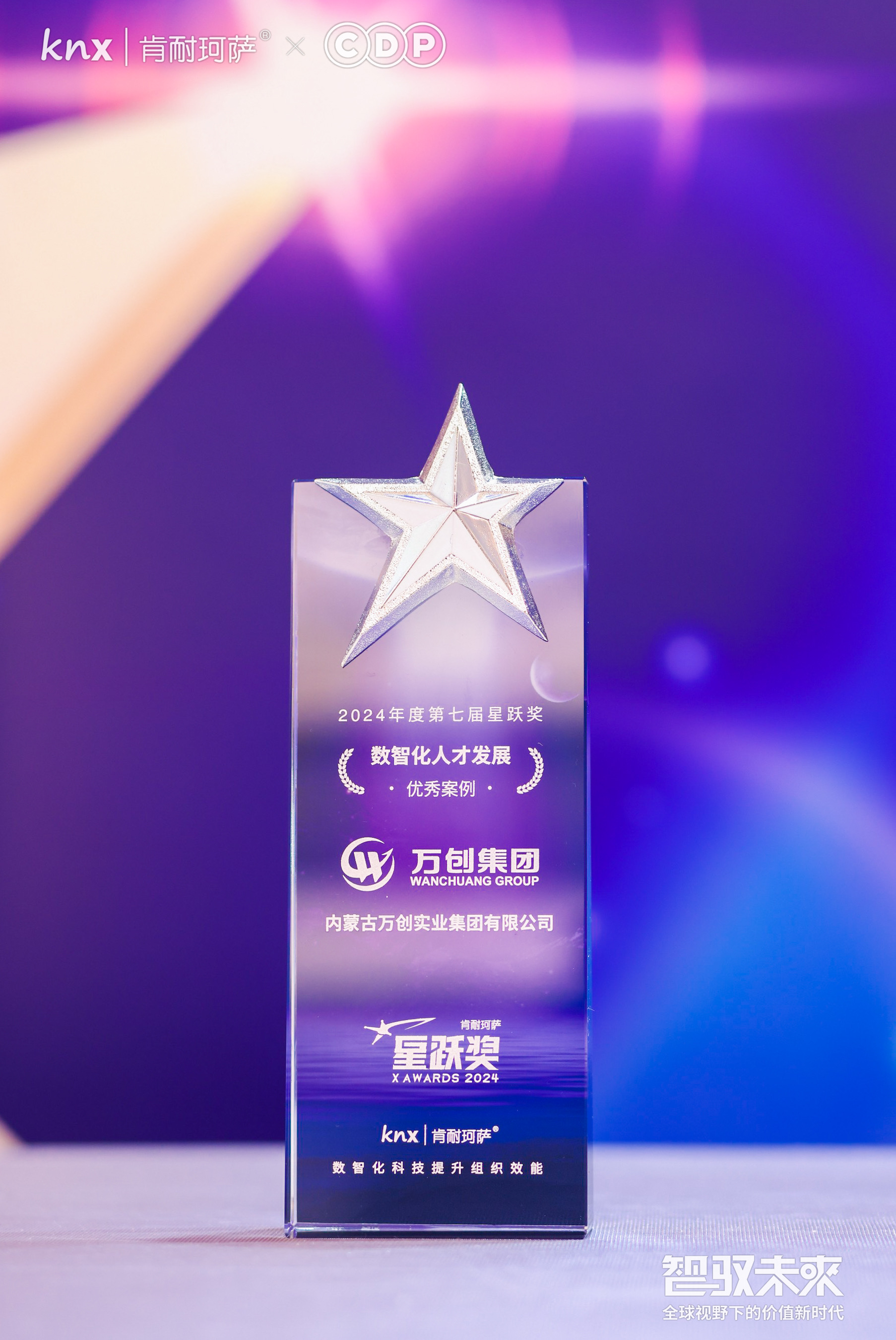 肯耐珂薩星躍獎(jiǎng)_數(shù)智化人才發(fā)展優(yōu)秀案例獎(jiǎng)
