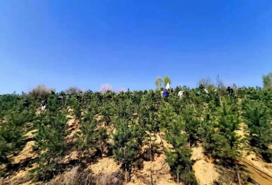 【公益】萬創(chuàng)集團植樹造林為鄂爾多斯綠水青山添彩助力