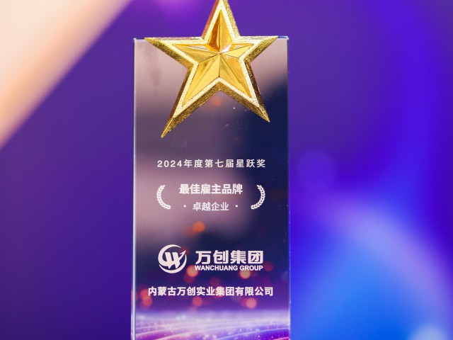 肯耐珂薩星躍獎(jiǎng)_最佳雇主品牌卓越企業(yè)獎(jiǎng)